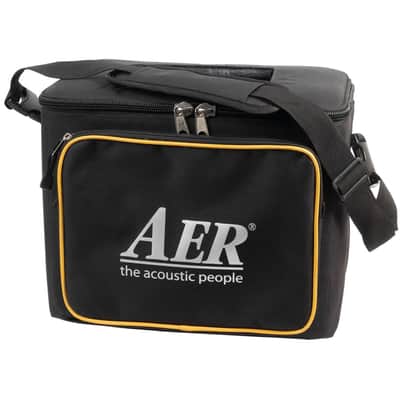 AER Amp Two | 240W 12" +8" Bass Combo. New with Full Warranty! image 3