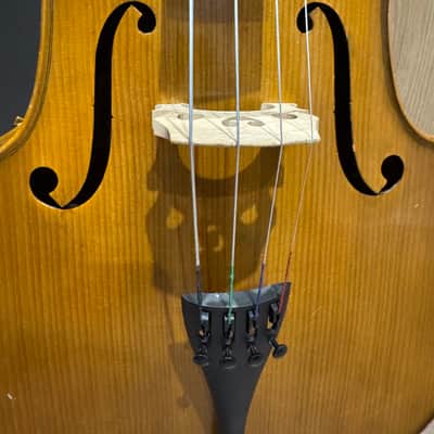 Stentor Student II Cello 3/4 - Gold Brown with case and bow image 5