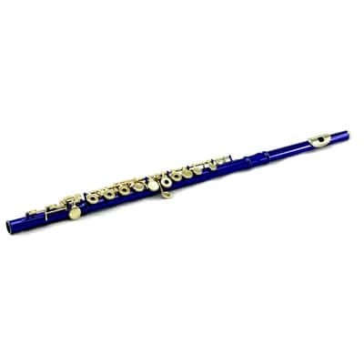 Closed Hole Blue Flute/Gold Keys/Hard & Soft Cases image 1