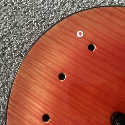 Xavier Transparent Red Single Cut Electric Guitar, Mahogany Body, Maple Neck, Rosewood Fingerboard image 14