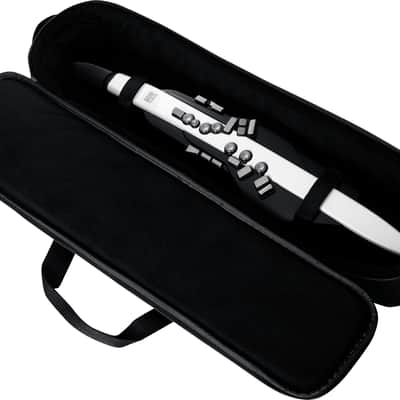 Roland AE-20 Aerophone Wind Instrument image 2