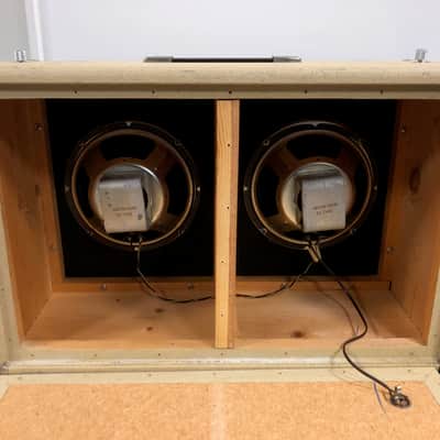 1963 Fender Tremolux Amp Head (Blonde 6G9-B) w/ 2X10 Cabinet Owned by Ian D'Sa of Billy Talent image 19