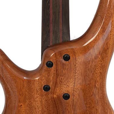 Ibanez SR1600D-ASK Autumn Sunset image 8