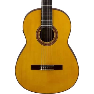 Yamaha Transacoustic Nylon String Cg Guitar image 1