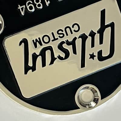 Metal Silver EST-1894 Guitar Toggle Switch Back Plate Cover for Les Paul Guitars image 4