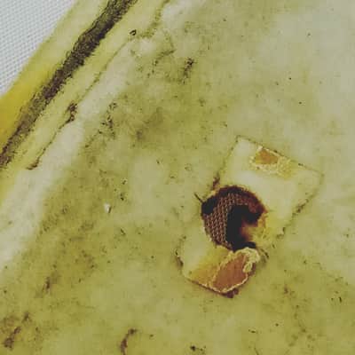Gretsch/Rogers? 16" Floor Tom Drum Head Calf Skin Batter Vintage 40s-50s USA image 2