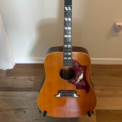 Gibson DOVE 1969 - Natural Top (rare brown maple sides and back) image 2