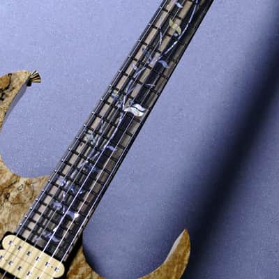 Ibanez JCRG Kurosawa Custom Order Spalted Maple 【Made In Japan】【Handcrafted by Master Builder】 image 8