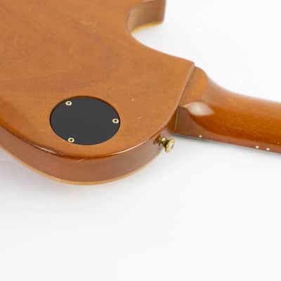 Gibson Les Paul Smartwood Exotic 2001 Ambay Guasu image 21