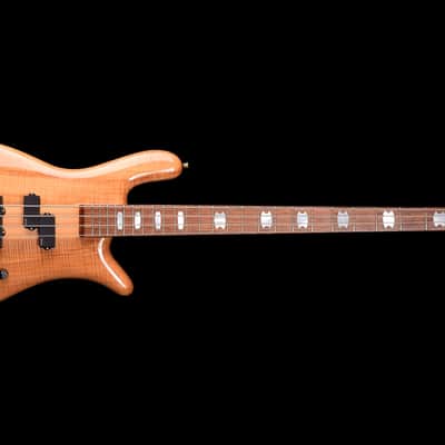 Spector Euro 4 LX 2015 - Natural Gloss image 2