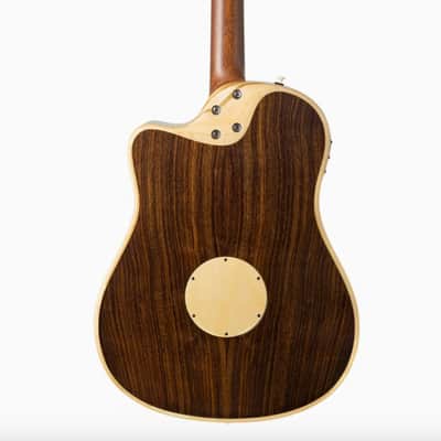 LR Baggs AEG-1 2024 - Present - Natural image 2