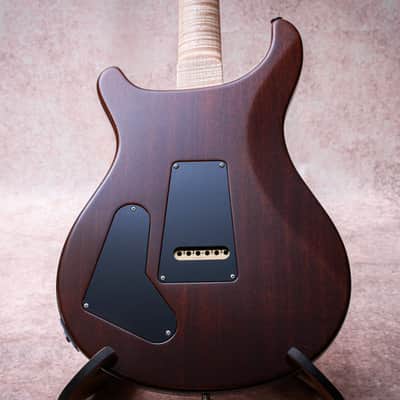 PRS USA Paul Reed Smith Wood Library Special 22 Semi Hollow 10-Top "Copperhead Burst" (2024) image 15