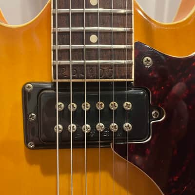 1973 Mosrite Celebrity II Deluxe image 3