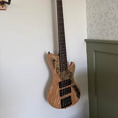 Alpher Instruments Mako 5 - Natural image 3