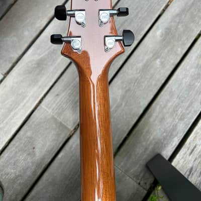 PRS Custom 22 Stoptail 10-Top 1993 - 2001 - Tortoise Shell image 3