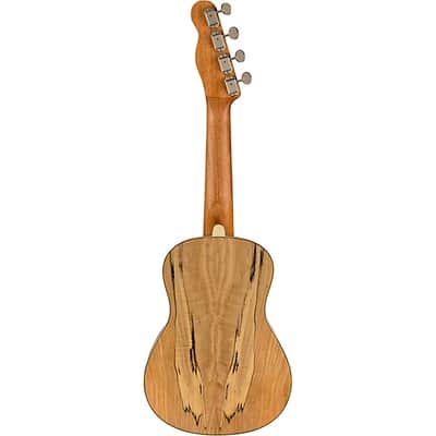 Fender Zuma Exotic Concert Ukulele, Walnut Fingerboard, Spalted Maple image 5
