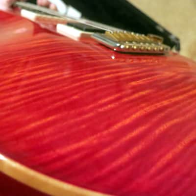PRS Paul Reed Smith P22 Custom 22 Piezo 2014 10 Top w/ Pattern Regular Neck image 7