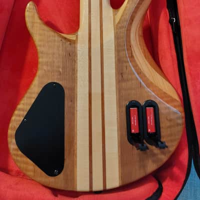 Harley Benton BZ-5000 NT (Neck Through) 5 String Bass Guitar image 7