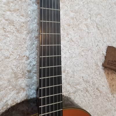 Takamine No.6 in 1988 image 11