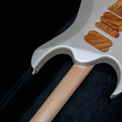 GB Liuteria Custom Boutique Ergal 6 string jem edition image 3