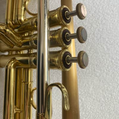 Immagine Carol Brass CTR-5060H-GSS-Bb-L Professional Bb Trumpet Satin Lacquer Set - 2