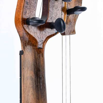 Giacinti Celeste & Figlio Harp Guitar 1880s image 6