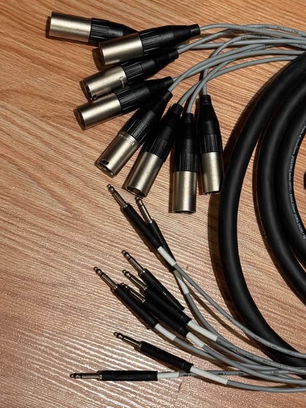 Sommer Snake Cable 12' XLR M to TT 8 channel image 1