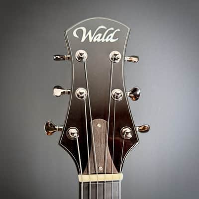 2025 Wald 17-inch Archtop - Brand New - Custom TRM Build Bild 9