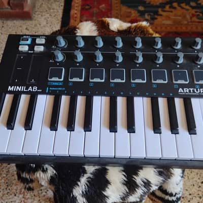 Arturia MiniLab MKIII 25-Key MIDI Controller 2022 - Present - Deep Black image 2