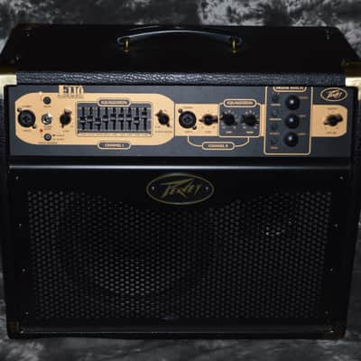 2020 Peavey - Ecoustic 110 Acoustic Amp image 1