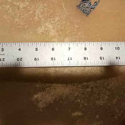 Toca Quinto Head - 11.5" image 3