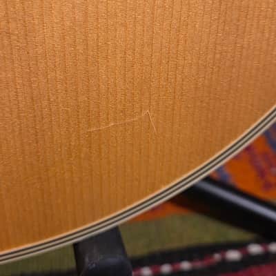 Ovation CC65 Celebrity 12-String Natural w/ Matching Ovation HSC image 10