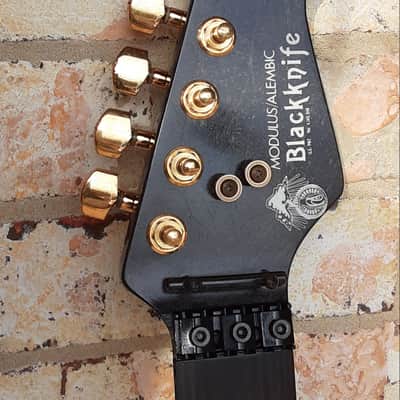 Modulus Alembic Blackknife carbon fiber Strat neck image 1