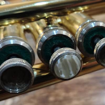 Taishan Winds TSTR-801 bB Trumpet Gold Lacquer Over Brass 2020 image 11