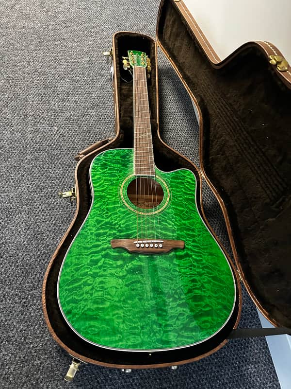 緑の書 : アル・キターブ・アル・アフダル Alvarez FD60GR - Green RARE Seether (With hard case) | Reverb