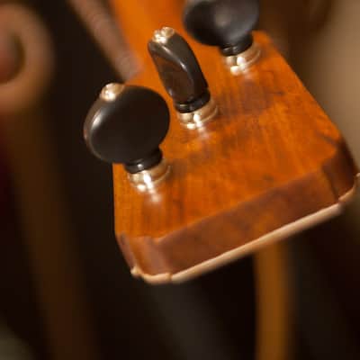 Roosebeck BLLP | Prima Balalaika. New with Full Warranty! image 10