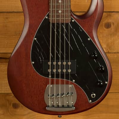 Sterling RAY5 SUB Series StingRay 5 Bass - Walnut Satin image 1