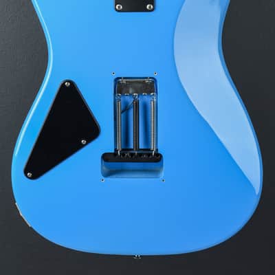 Paul Reed Smith Mark Lettieri Fiore '24 image 5