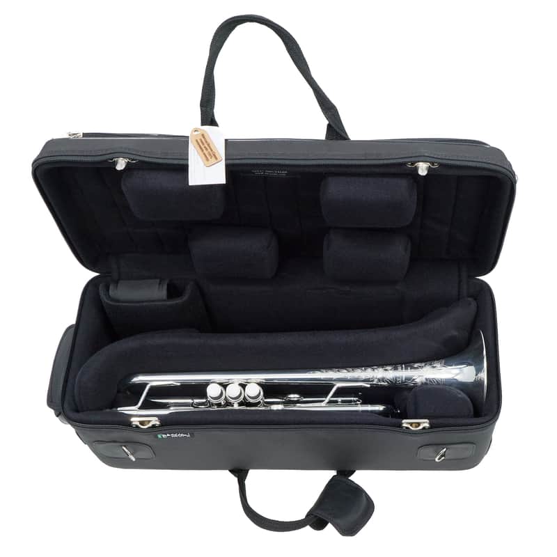 S.E. Shires Model 'Model B' Professional Bb Trumpet SN 4572 RENEWED image 1