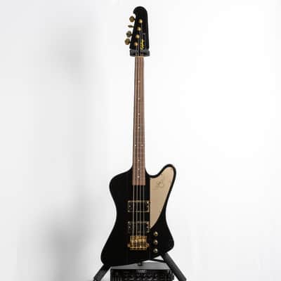 Epiphone Rex Brown Thunderbird Bass, Ebony | Demo image 2
