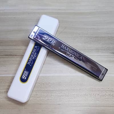 Hohner Triumph circa 1900's | Reverb