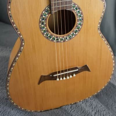 Handmade Guitar Spruce / Cherry Unique! Hybrid image 1