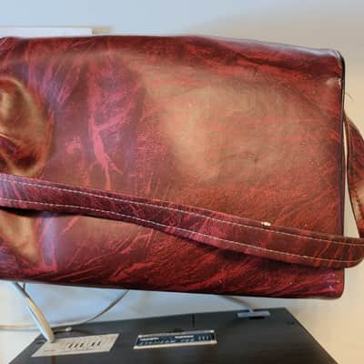 Radel DX-Soft Analog Saarang/Tampura with Original Case and Manual image 8