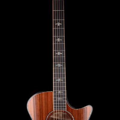 Taylor Builder's Edition 914ce Grand Auditorium Natural with Case image 9