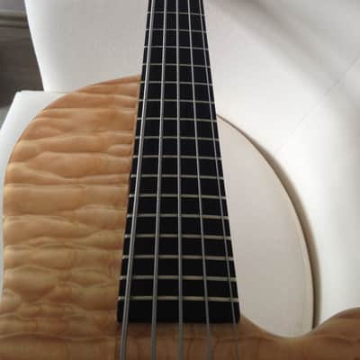 Human Base Class X 5 string 2012 natural image 2