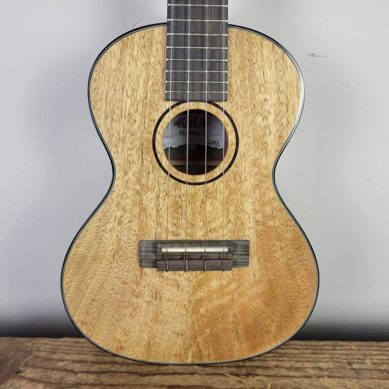 2022 Kala Curly Mango Concert Ukulele KA-MNGG-C image 1