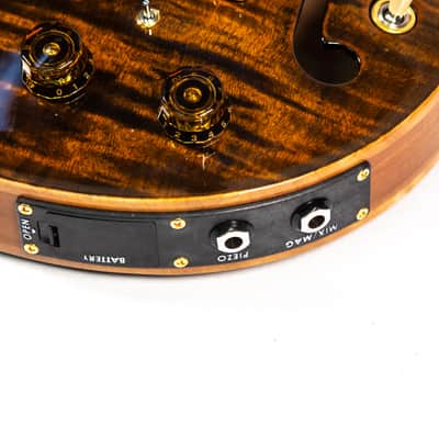 PRS Paul Reed Smith Hollowbody II Owned by Nils Lofgren image 7