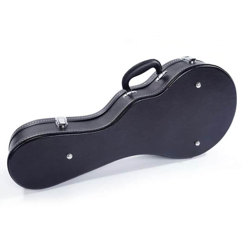 New Mandolin Case for F Style Mandolins image 1