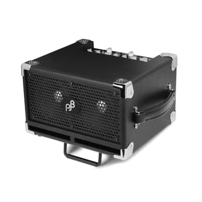 PJB Phil Jones Bass BG-120 Bass Cub Pro 2x5 120-Watt Bass Combo Amplifier Black image 1