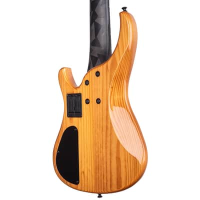 G.Gould GGi5 – Flame Walnut Top – Torrefied Pine Body – Graphite Composite Neck – 8.1 pounds – 1464 image 6